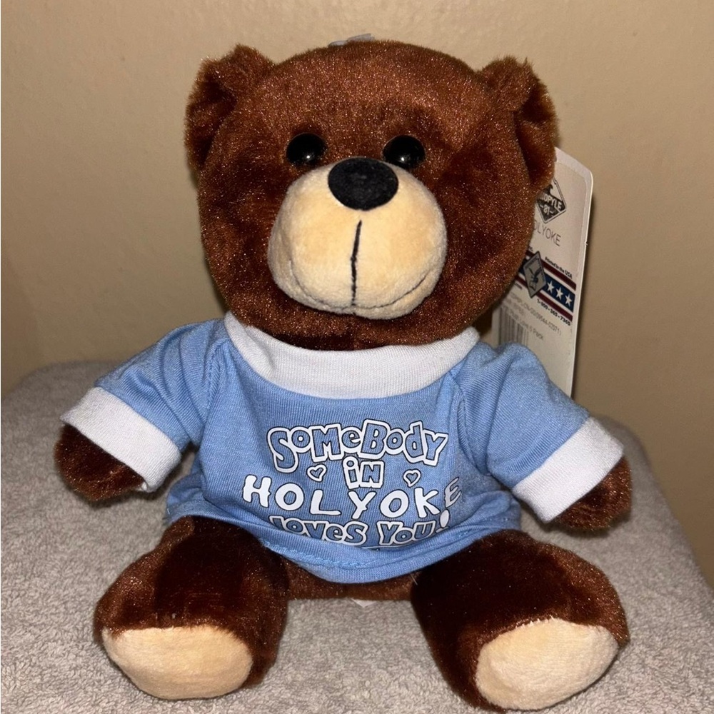 Ohiopyle Prints Holyoke Brown Teddy Bear Plush – "Somebody in Holyoke Loves You”